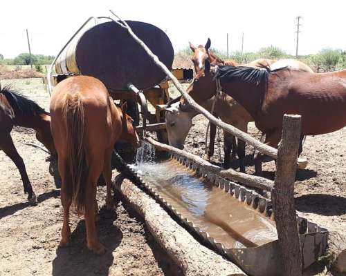 Vendo Campo de 22 Has. Cerca de San Fco. del Monte de ORO