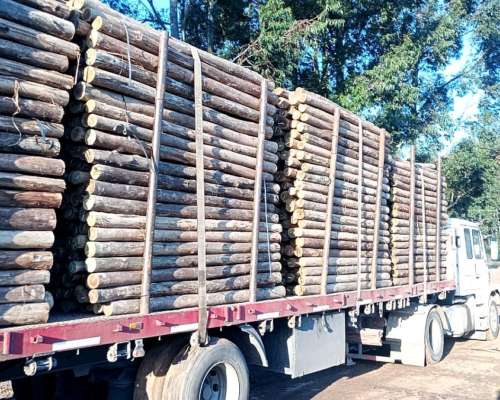 Rodrigones Eucaliptus 2,5m - 7 a 10 Diam. - Impregnados CCA