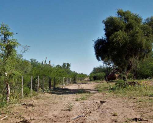 Vendo 20.000 Ha en la Rioja Desarrollo Agricola Ganadero