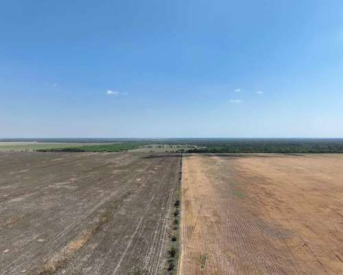 Pcia. de Catamarca - Bañado de Ovanta 437 Has