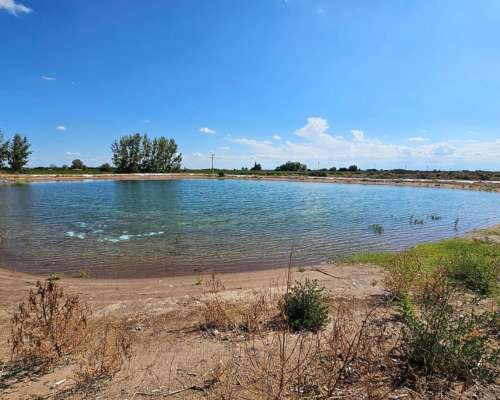 Finca en Tres Porteñas - San Martin - Mendoza