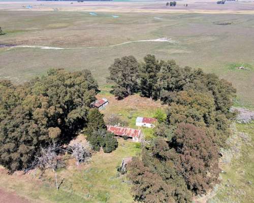 450 Has en Bolívar - BS. AS. - Mixto - Venta