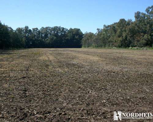 Zarate , G.b.a. Zona Norte, Argentina