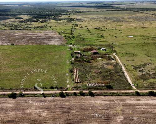 Campo Mixto. 154 HA. SA Pereira, Santa FE.