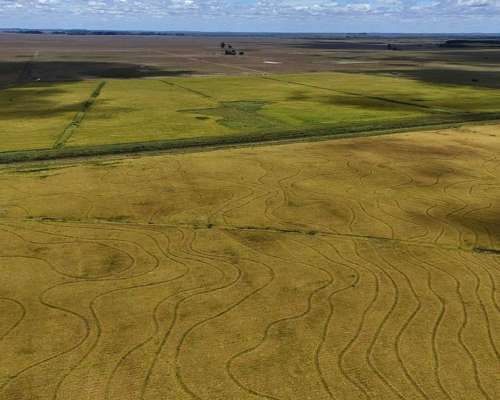 Mercedes, Corrientes - 4.050 Ha
