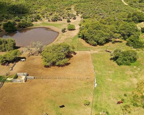 San Pedro Norte, Córdoba - 3068 Ha