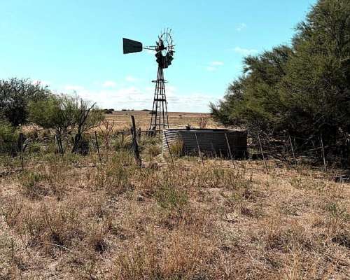 212 Ha Algarrobo Sobre Ruta 22