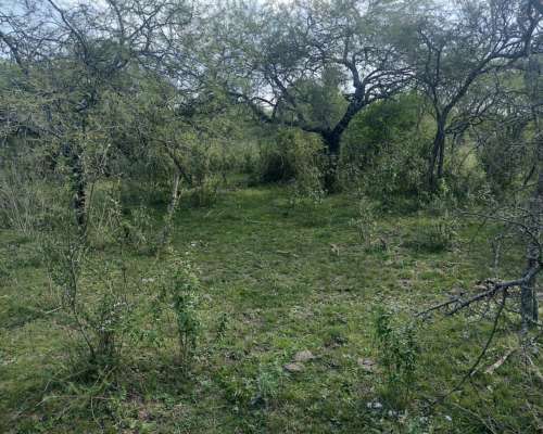 36 Has en la Paz, Entre Rios