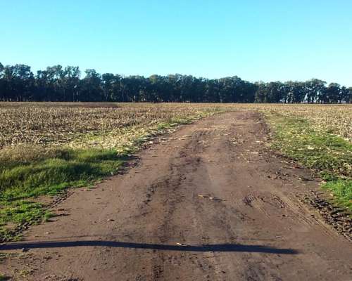 1190 Has. Mixtas. Saladillo.