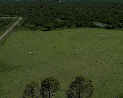 Venta 460has Zona Federal