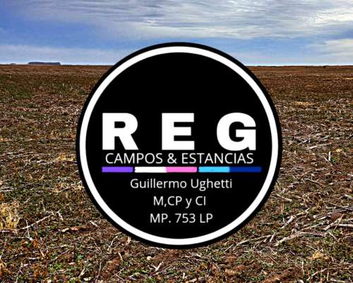 1500 Has Agrícolas - en Santa FE