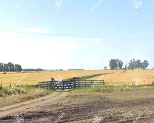 Campo en Venta de 190 Has en Tres Arroyos. Agricola