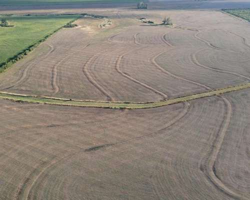 250 Hectáreas de Campo Agrícola en Gualeguaychú, Sobre Ripio