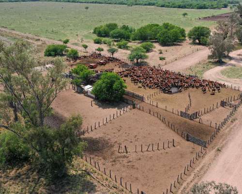 Pcia. de Santiago del Estero - Pozo Hondo 7032 Has