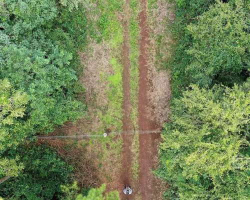 Se Vende. Campo Jardín América. de 306 Ha en SU Mayoria Mont