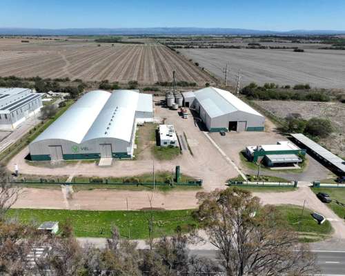 Pcia. de Cordoba - Sinsacate 2 Ha