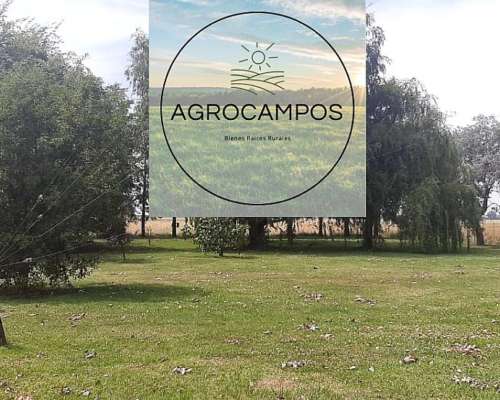 En Venta muy Buen Campito Ganadero