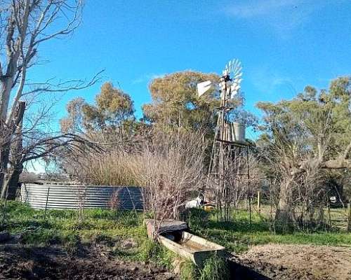 107 Ha muy Lindo Campo en Coronel Pringles