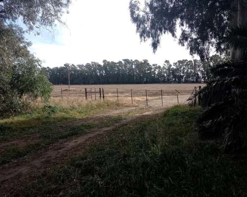 Vendo Campo Mixto en General Belgrano