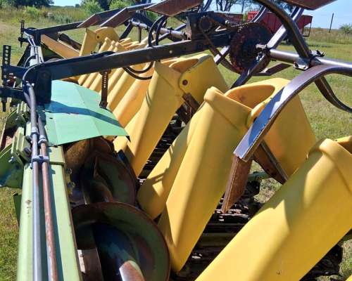 Maicero Allioschis 18 a 42