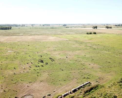 44 Has. Campo Agrícolo Ganadero en General Rodriguez