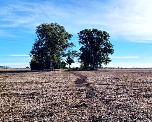 Campo Agrícola-ganadero de 25 Ha en Villa Mugueta