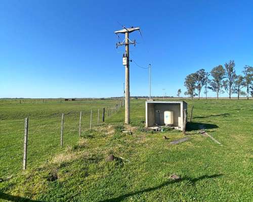 Importante Campo Agricola 1500 Hectáreas