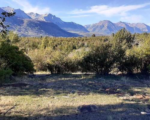 Lago Lezana 39 Ha Zona Cholila - Costa de Lago