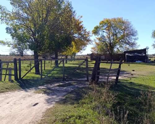 Campo 74 Ha – Pilar, Santa FE – Apto Tambo y Ganadería