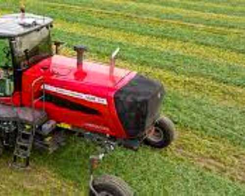 Segadora Massey Ferguson Autopropulsada WR 9870 Modelo 201