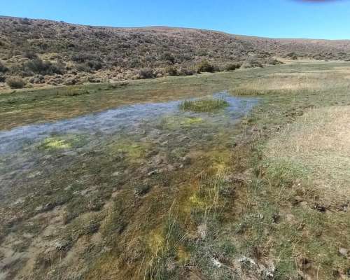 Estancia en Rio Mayo. 7345 HA. Chubut
