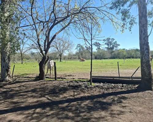 Campo de 47 Has en Manzanares, Apto EMP Industrial