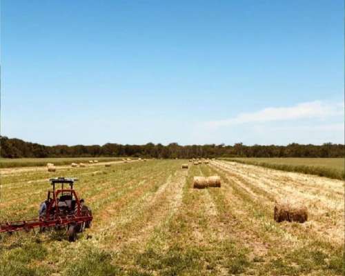 Campo Agrícola 168 Has - a 8 km de San Bernardo Chaco