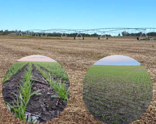 Vendo Excepcional Campo Agrícola 1200 Has en MAR del Plata