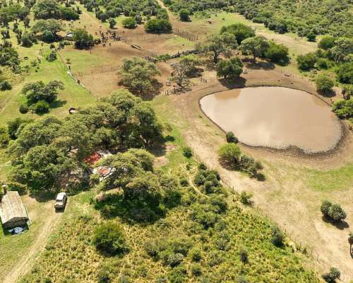 San Pedro Norte, Córdoba - 3068 Ha