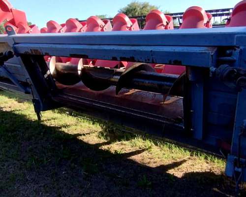 Maicero de Grande 16 a 52 año 2011-financiación Propia