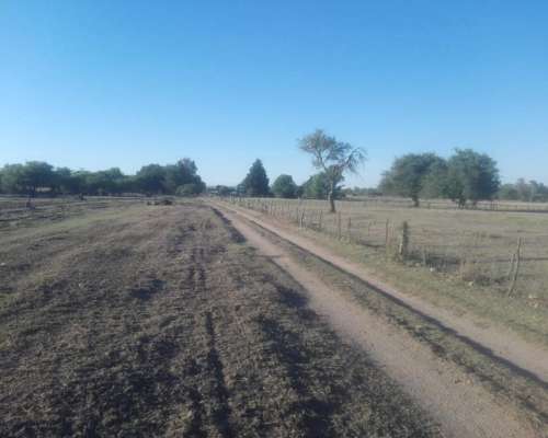 Papagayos - 1034 Ha - San Luis