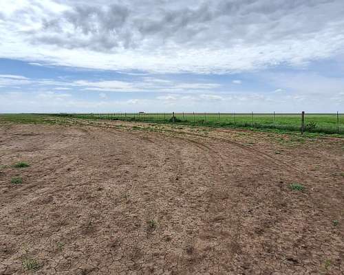 Venta Campo 665 Has Tornquist