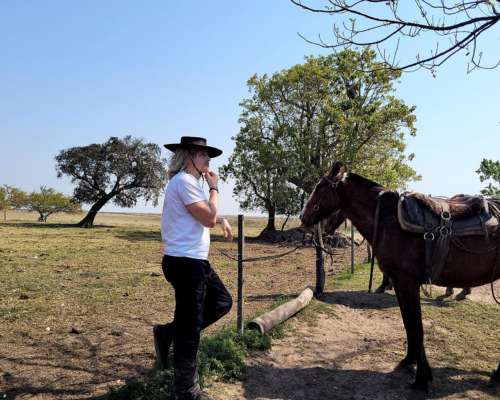 Campo para Búfalos o Ganado Vacuno en Concepcion Corrientes