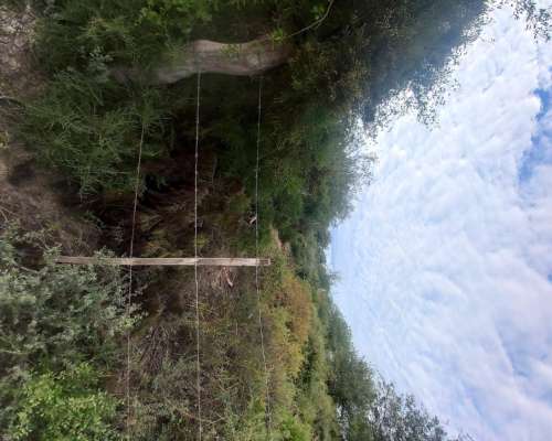 Vendo 56 Hectáreas. Colonia Dora