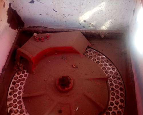 Crucianelli Gringa V, de 20 a 42 o 16 a 52