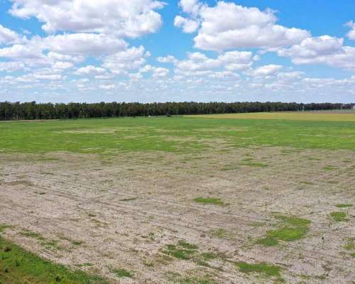 Pcia. de Buenos Aires - Cañada Seca 844 Has