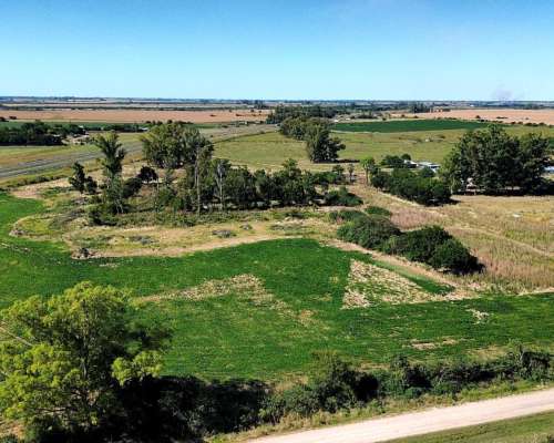 Vendo Campo 24 Has en Ruta 14 Concepción del Uruguay Entre R