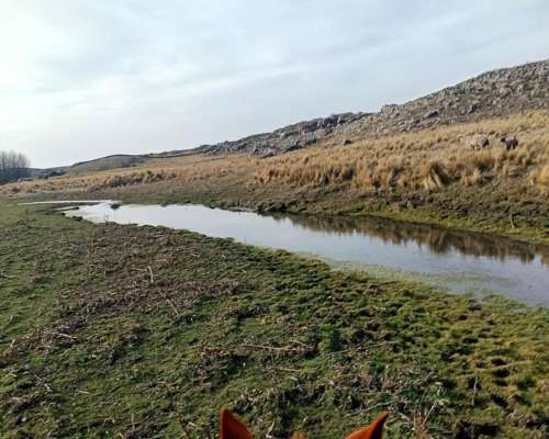 Vendo Campo en la Carolina,san Luis