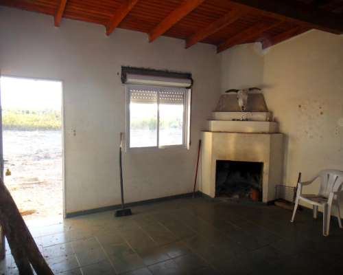 2500 Has. Lihuel Calel – la Pampa