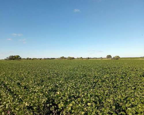 87 Ha en Venta en Capilla de Siton