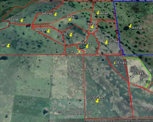 2300 Has. Ganaderas en Alquiler. las Flores.