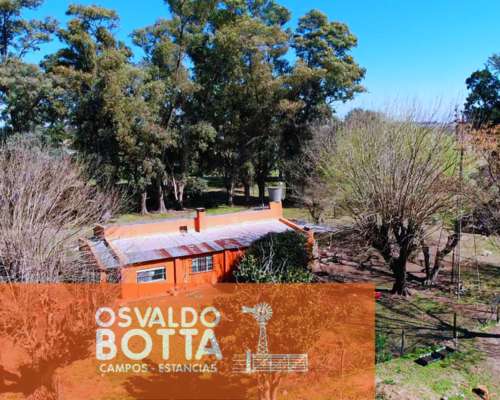 Campo en Venta 393has Mercedes, Buenos Aires