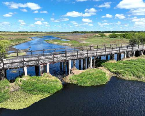 Pcia. de Corrientes - Malvinas 10808 Has