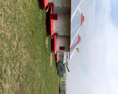 Silos Comederos de 12 TN